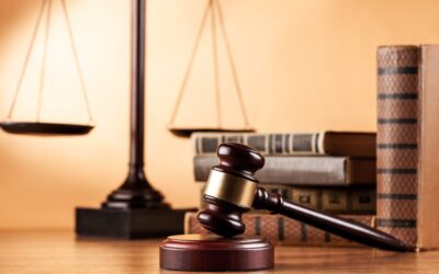 Seiden Law Welcomes Two New Litigation Associates